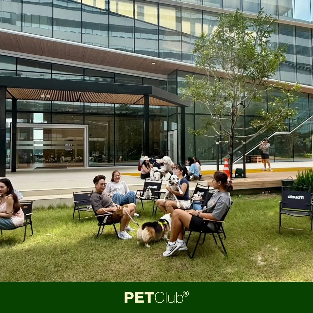 รูปโรงพยาบาลสัตว์ เพ็ทคลับ สาขาพัฒนาการ 30 (PETClub Animal Hospital) 3
