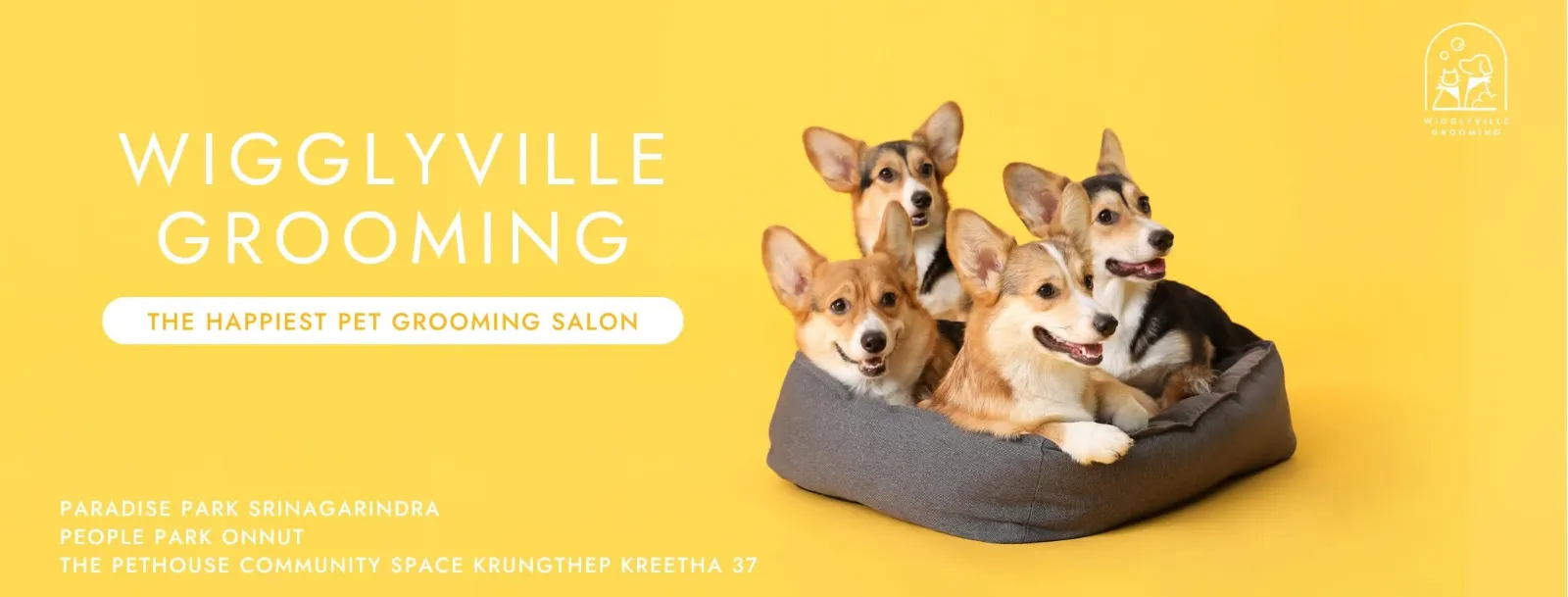 รูปวิกกี้วิลล์ กรูมมิ่ง สาขากรุงเทพกรีฑา (Wigglyville Grooming) 2