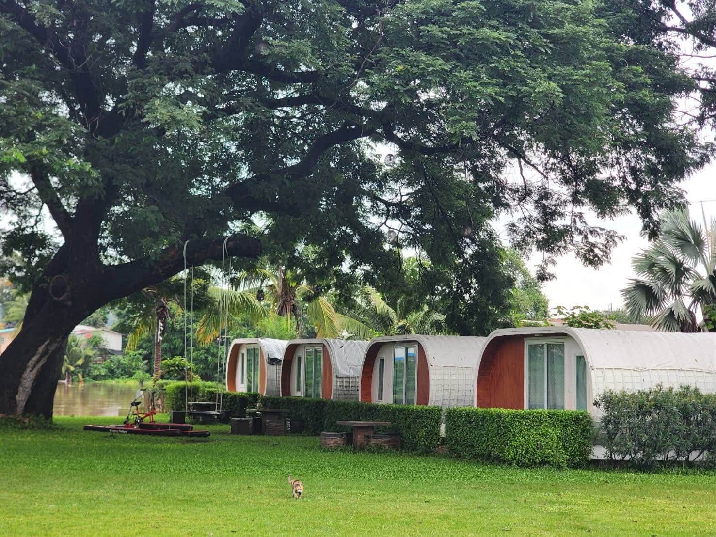 รูปMerlin Hut & Farm 2