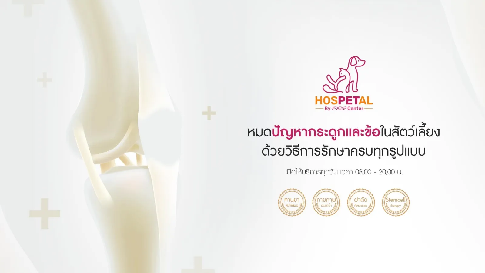 รูปโรงพยาบาลสัตว์ HOSPETAL By PRS Center 2