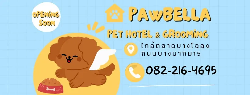 รูปPawbella อาบน้ำตัดขน-โรงแรมสุนัข 3 จาก 3
