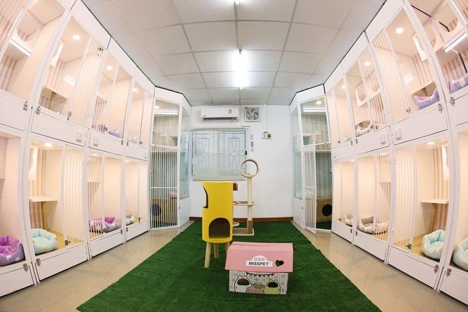 รูปHero Pet Center 3 จาก 3