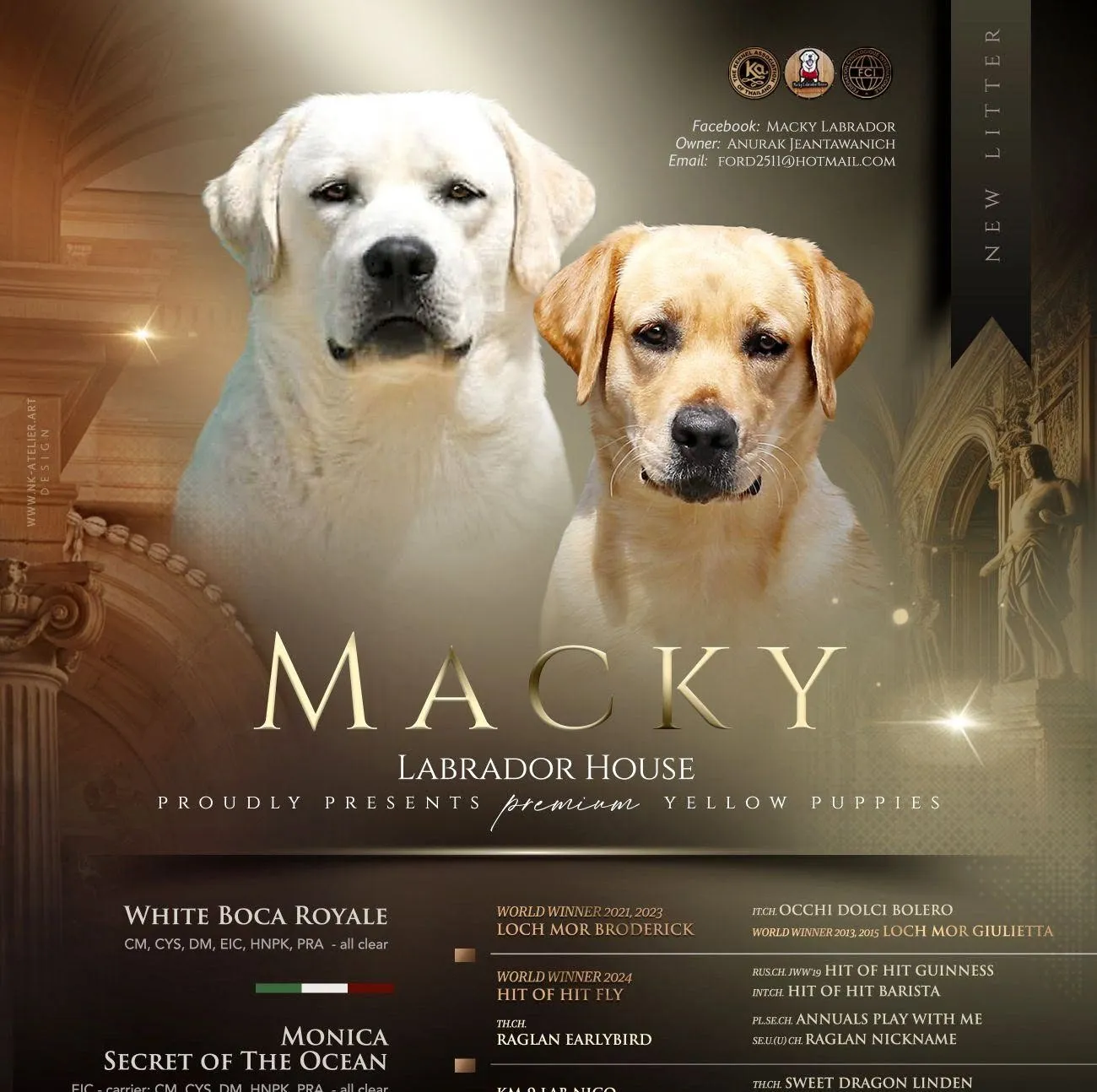 รูปMacky Labrador House 1 จาก 3