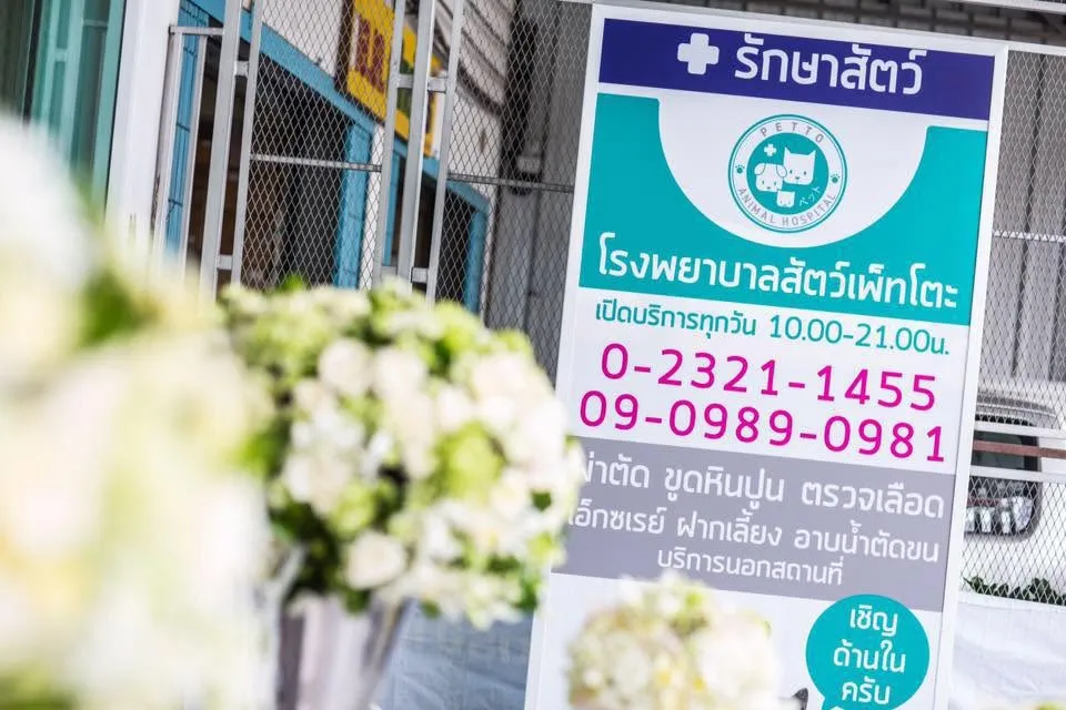 รูปโรงพยาบาลสัตว์เพ็ทโตะ (Petto Animal Hospital) 2