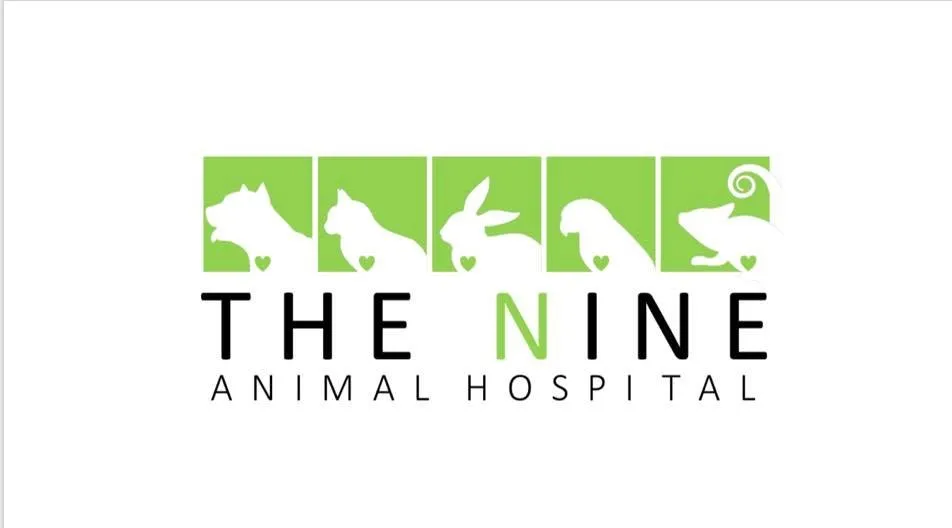 รูปโรงพยาบาลสัตว์เดอะไนน์ (The Nine Animal Hospital) 1