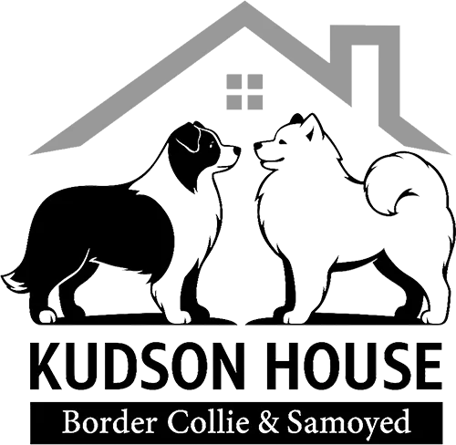 Kudson House – บ้านหมาคัดสรร