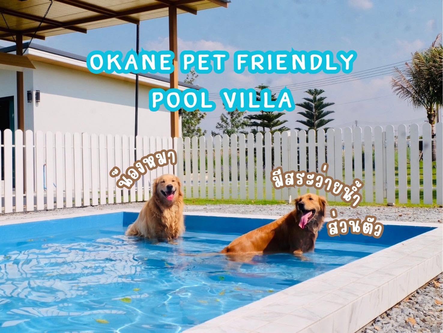 รูปOkane Pet Friendly Pool Villa (โอเคเนะ เพท เฟรนด์ลี่ พูลวิลล่า) 3 จาก 3