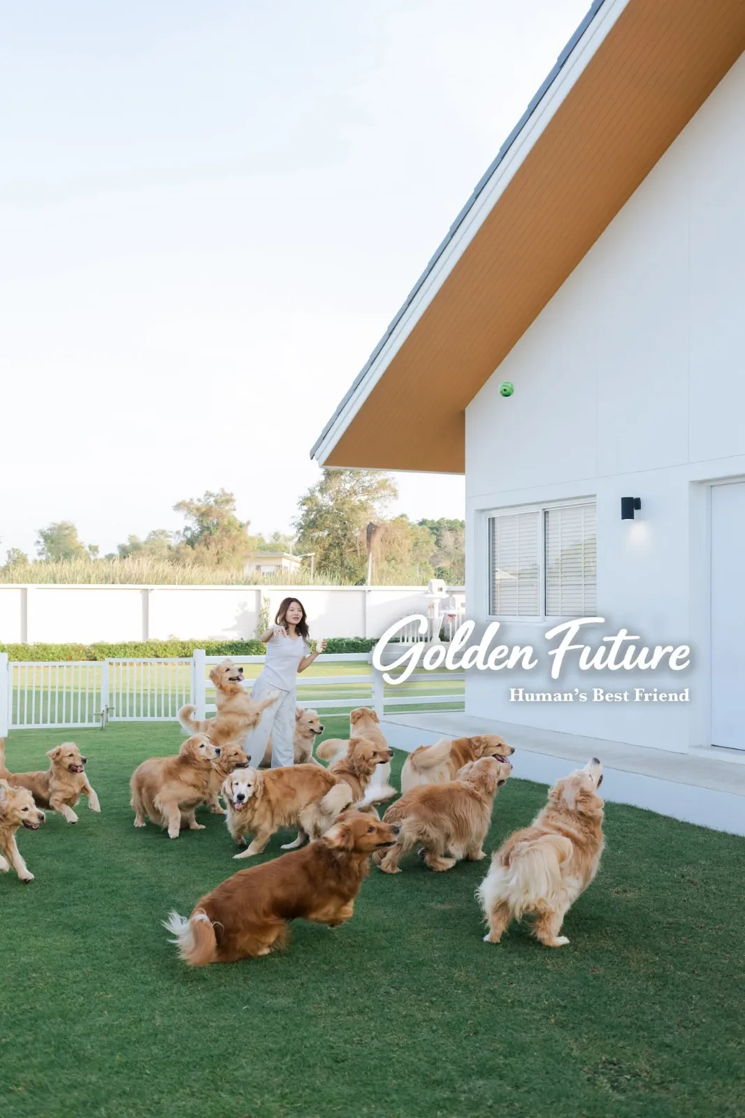 รูปGolden Future Kennel 2 จาก 3