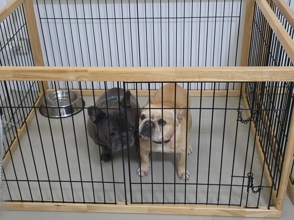 รูปPET 'N JOY – เพ็ท เอนจอย 3