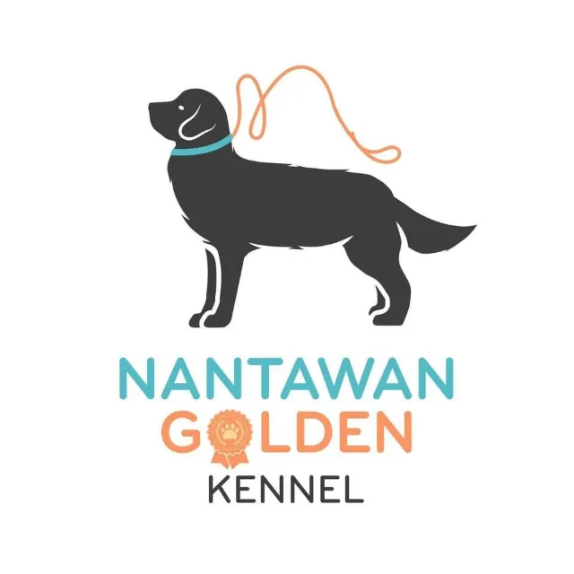 Nantawan Golden Retrievers