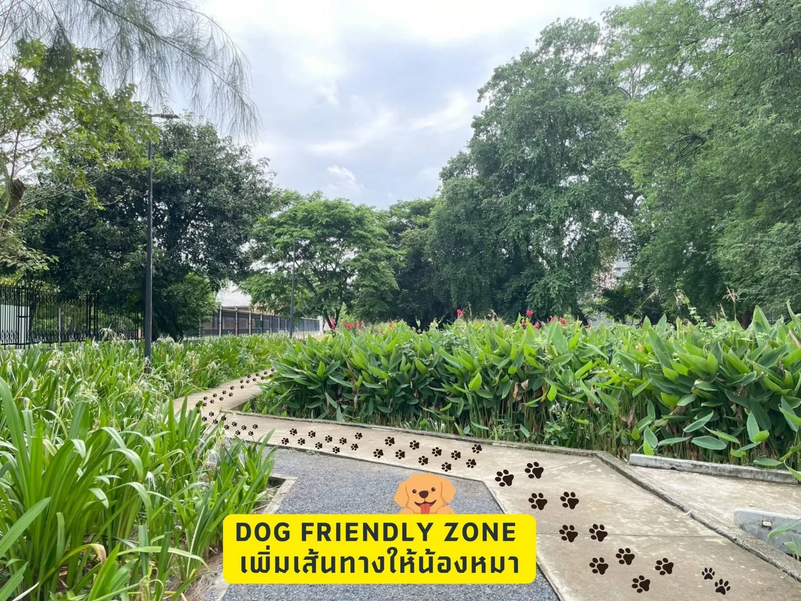 รูปDog Park สวนป่าเบญจกิติ 2