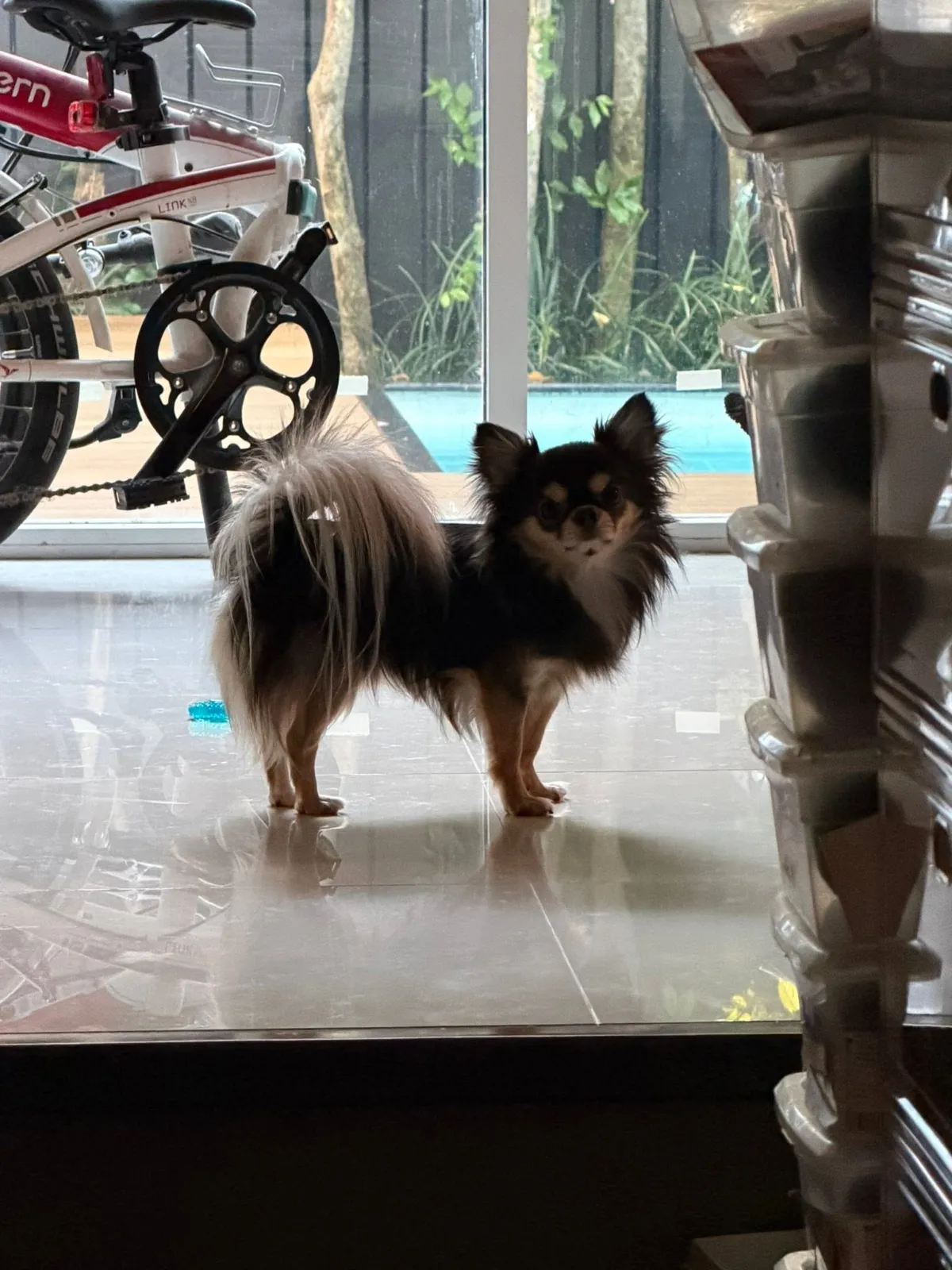รูปโรงพยาบาลสัตว์เพ็ทอีส (PETiS Animal Hospital) 2