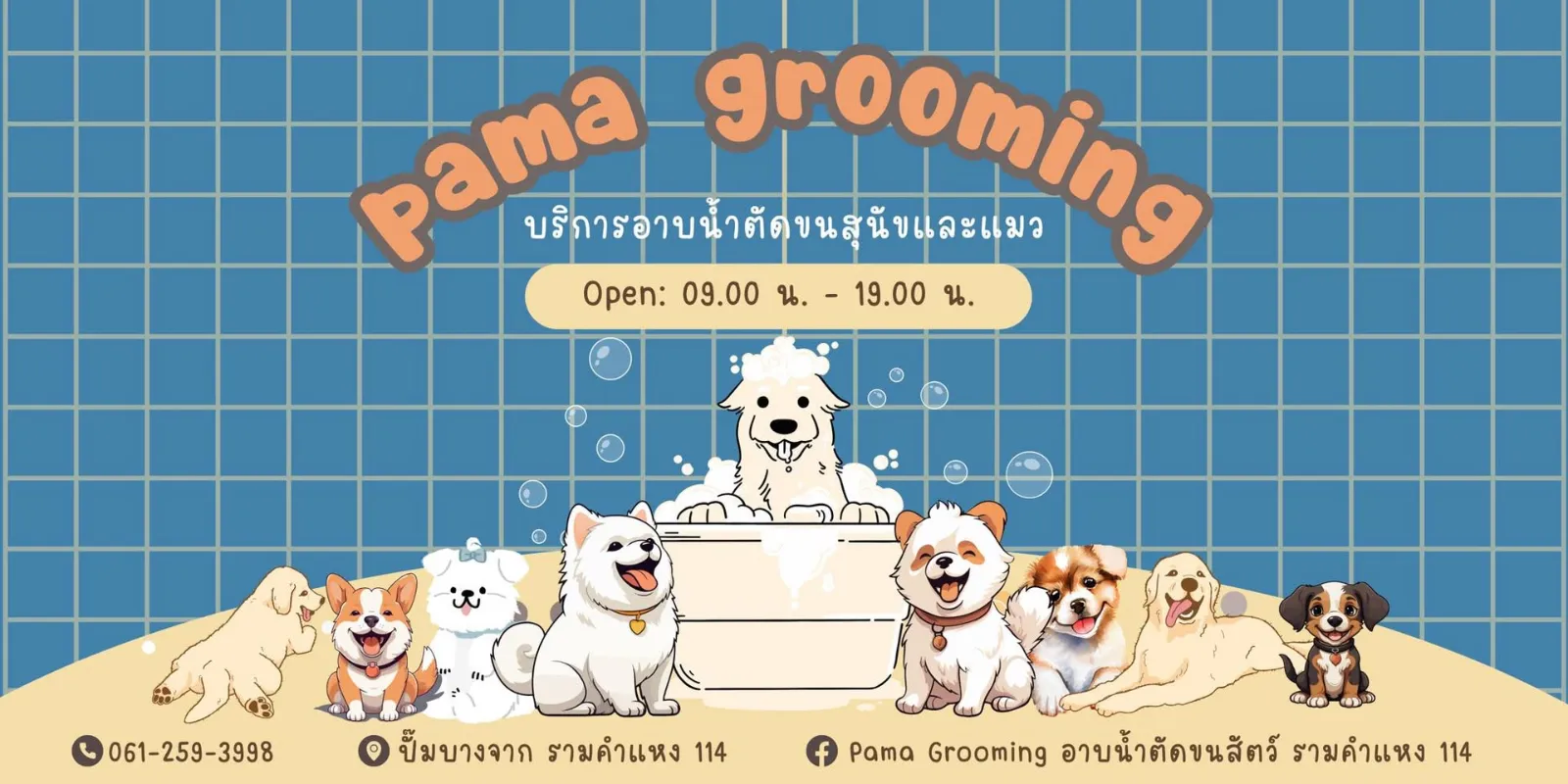 รูปPAMA GROOMING อาบน้ำตัดขนสุนัข แมว 2