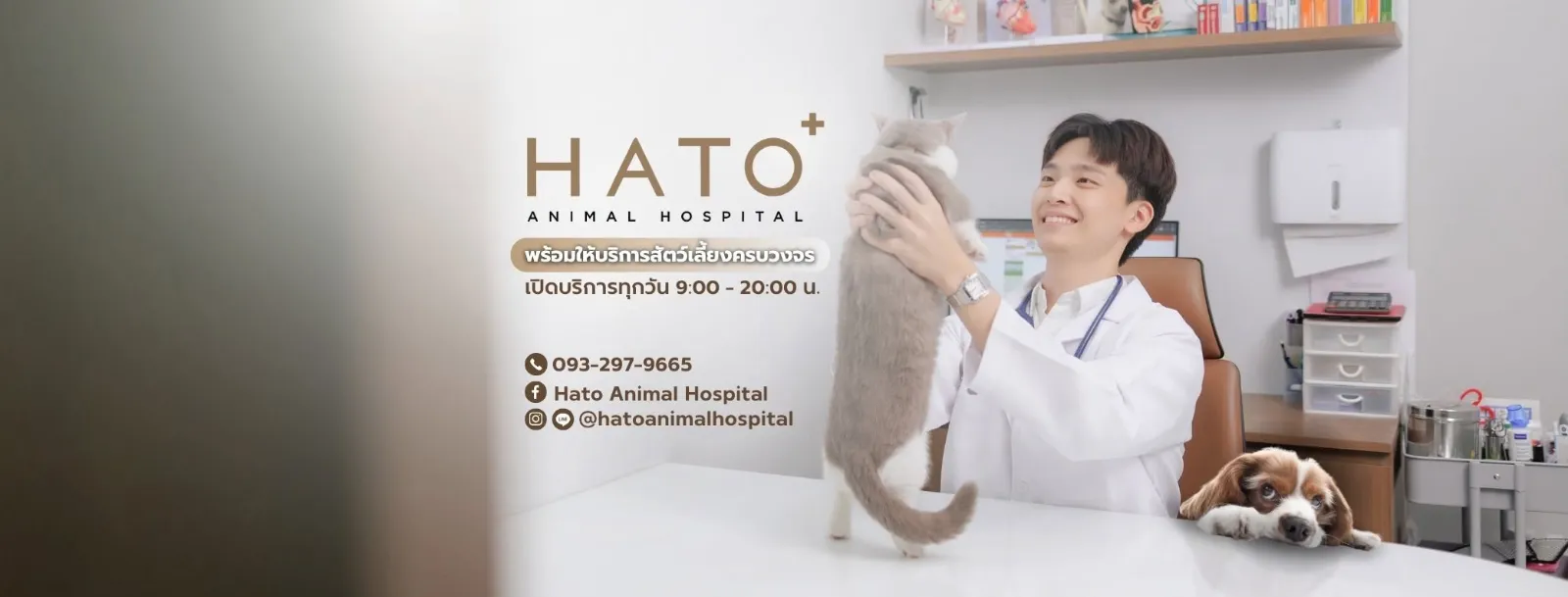 รูปโรงพยาบาลสัตว์ฮาโตะ สาขาพัฒนาการ (Hato Animal Hospital) 3