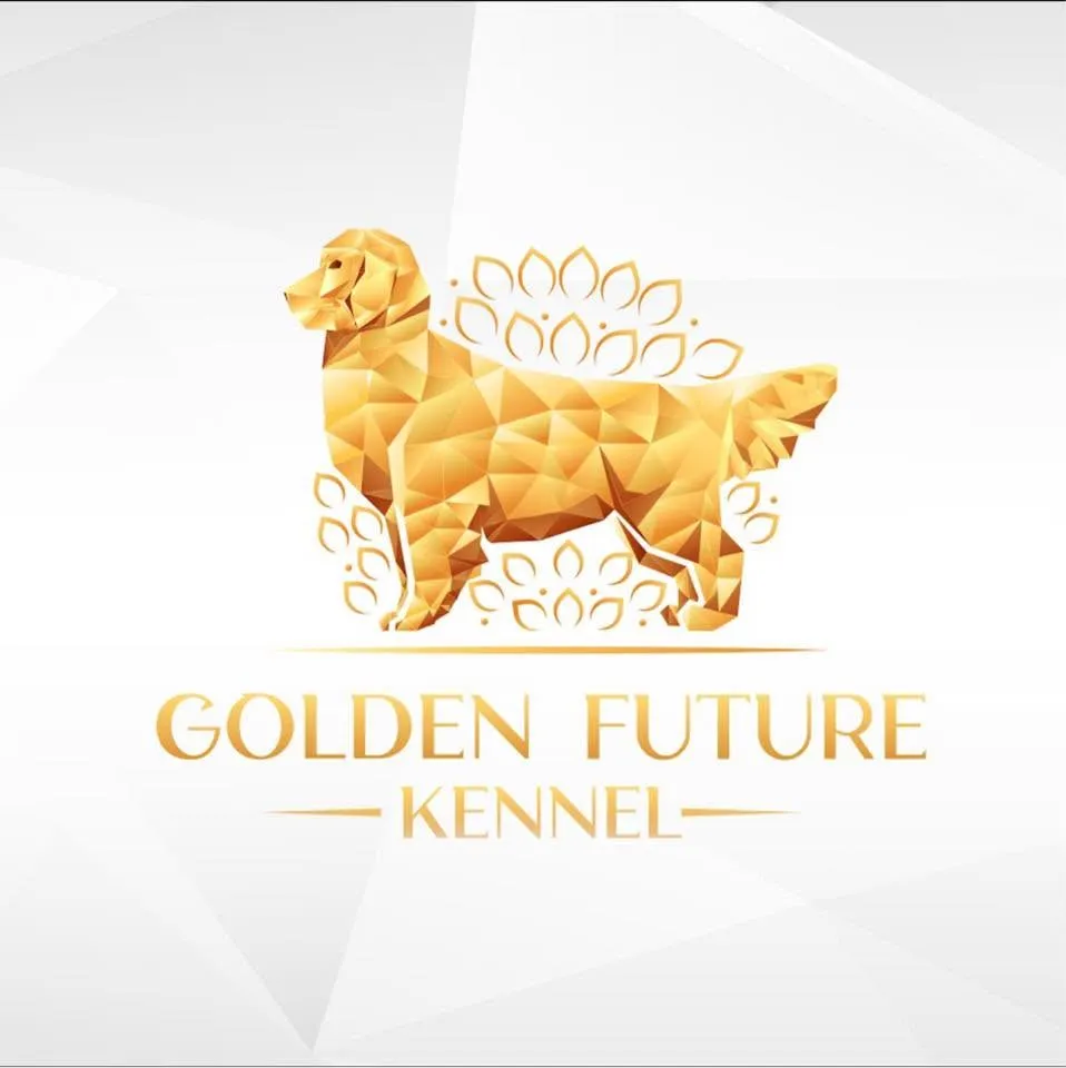 รูปGolden Future Kennel 1 จาก 3