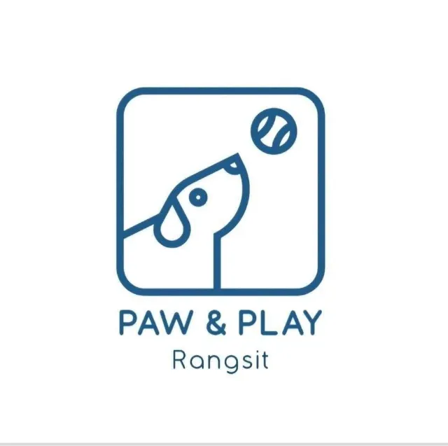 Paw & Play Rangsit