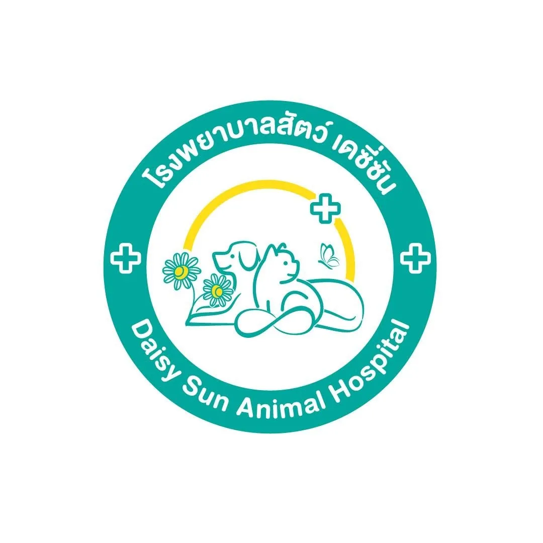 รูปโรงพยาบาลสัตว์เดซี่ซัน (Daisy Sun Animal Hospital) 1