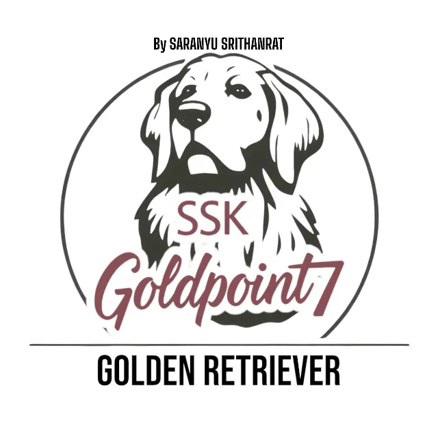 SSK Goldpoint7 Golden Kennel