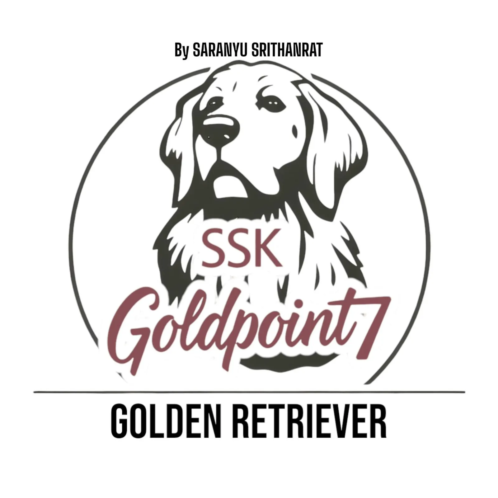 รูปSSK Goldpoint7 Golden Kennel 1