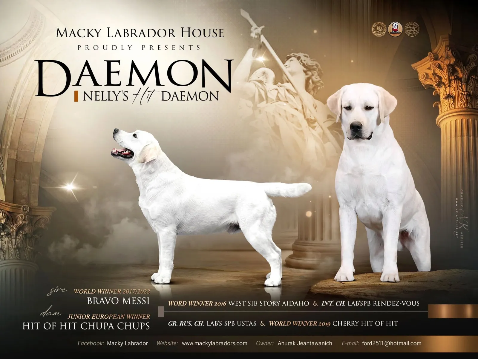 รูปMacky Labrador House 3 จาก 3