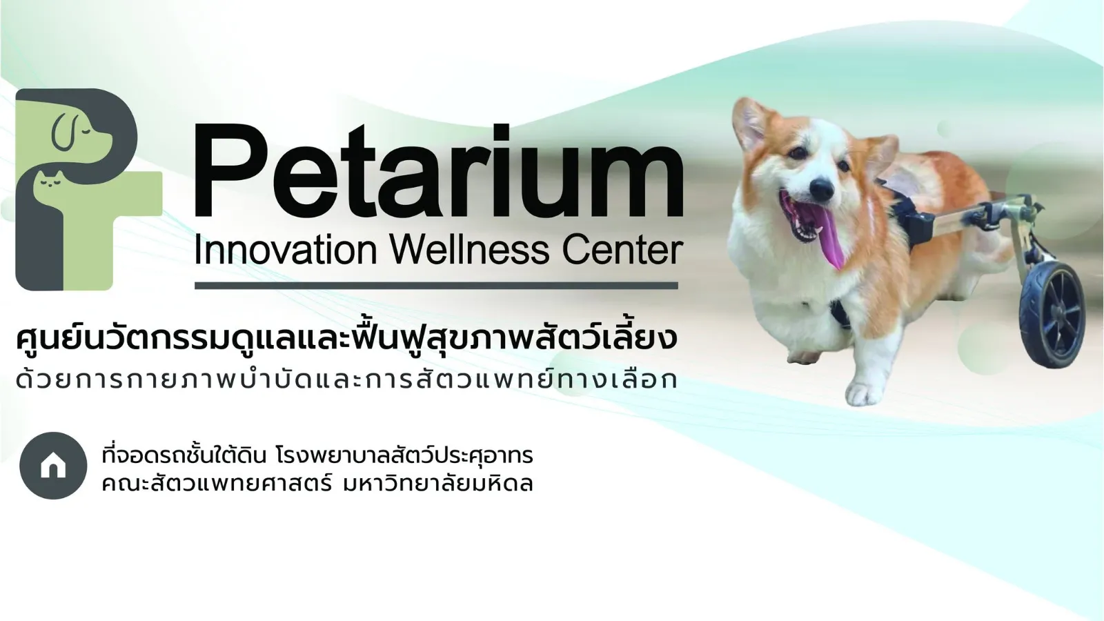 รูปPetarium เพ็ททาเรียม ศาลายา 3