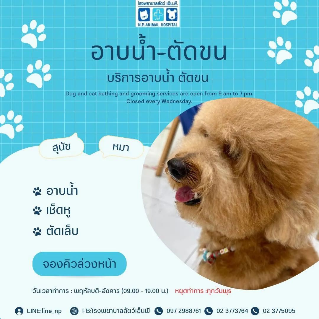 รูปโรงพยาบาลสัตว์ เอ็น.พี. (N.P. Animal Hospital) 2