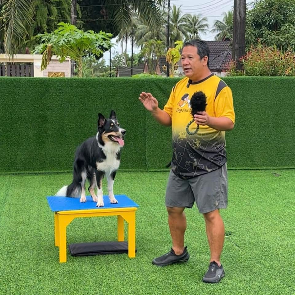 รูปDogBooster 5 จาก 7