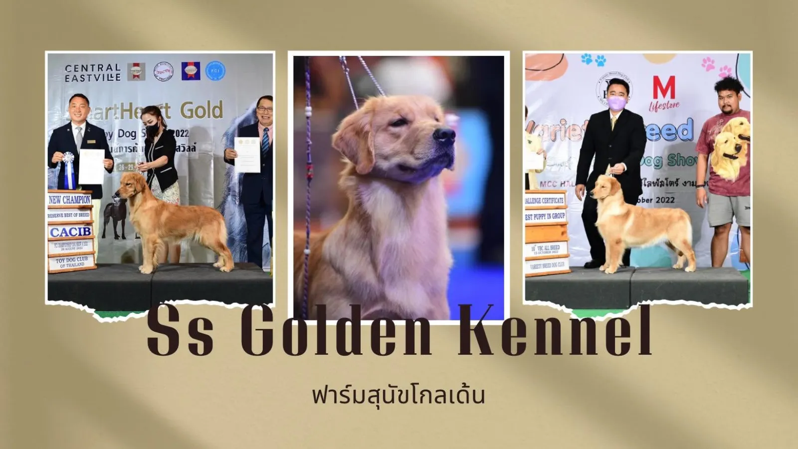 รูปSS Golden Kennel 2 จาก 3