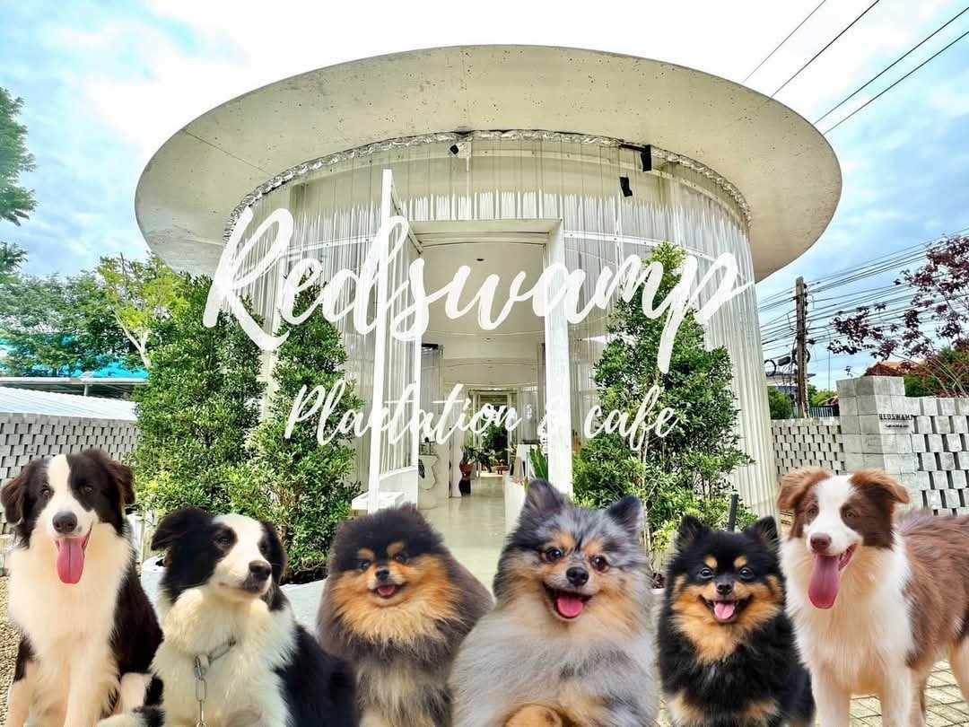 รูปRedswamp Kennel 2 จาก 3