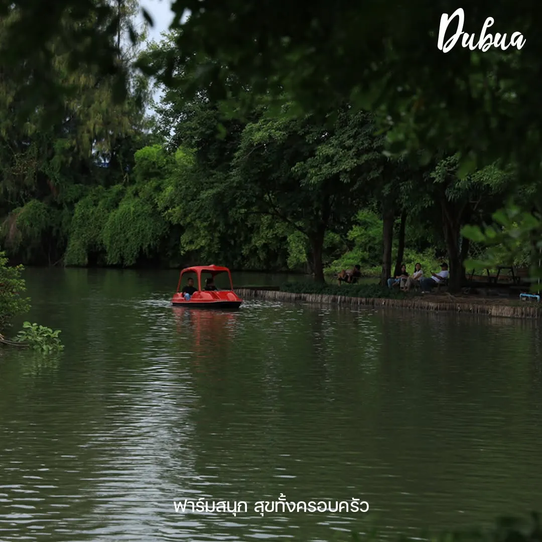 รูปDuBua Cafe Farm (ดูบัวคาเฟ่) 2 จาก 4