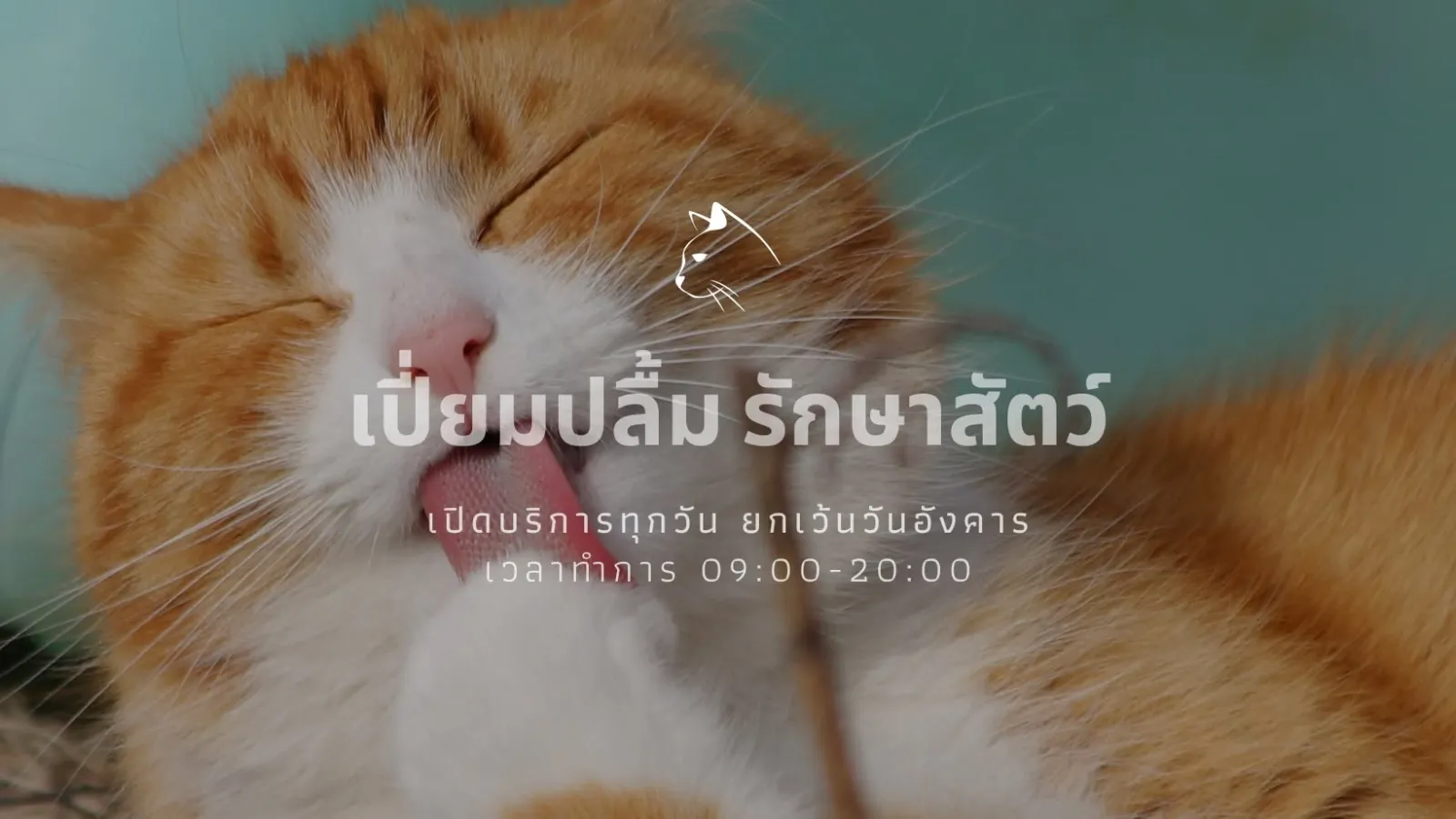 รูปเปี่ยมปลื้ม รักษาสัตว์ 2
