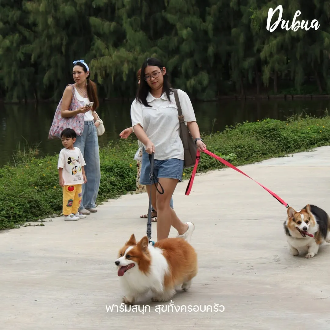 รูปDuBua Cafe Farm (ดูบัวคาเฟ่) 4 จาก 4