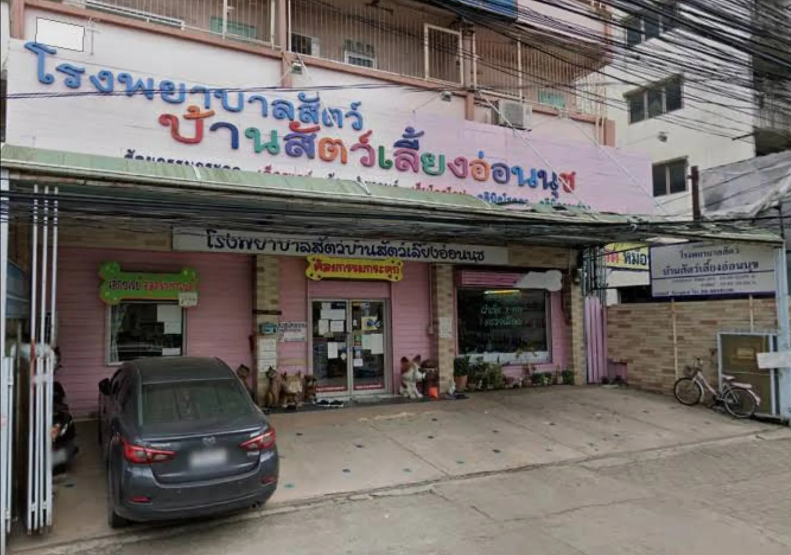 รูปโรงพยาบาลสัตว์บ้านสัตว์เลี้ยงอ่อนนุช 2