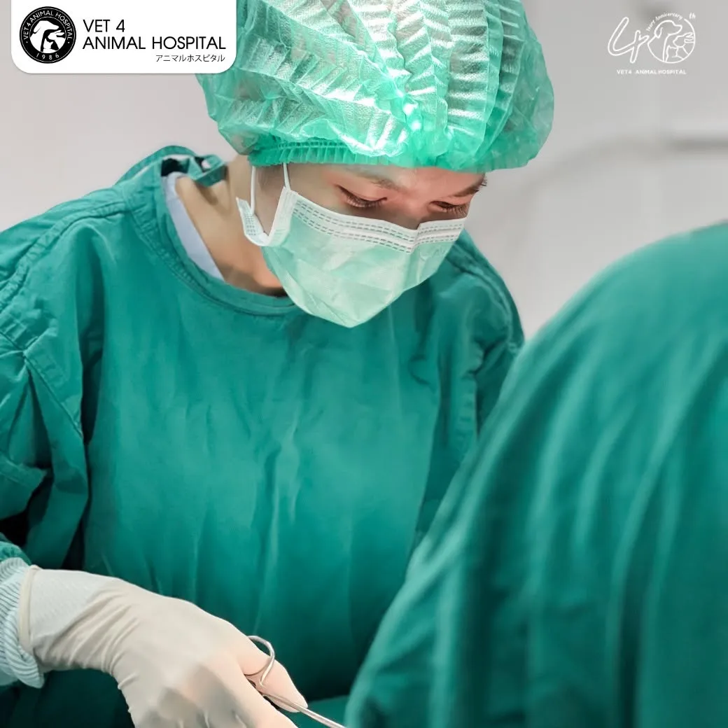 รูปโรงพยาบาลสัตว์ สัตวแพทย์ 4 สาขาศรีนครินทร์ (Vet 4 Animal Hospital) 3