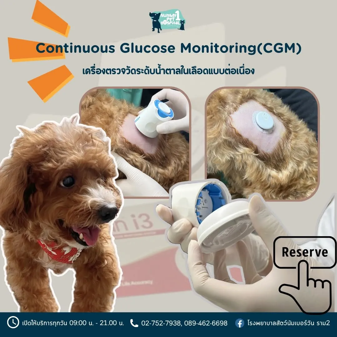 รูปโรงพยาบาลสัตว์นัมเบอร์วัน ราม 2 (Number One Pet Hospital) 3