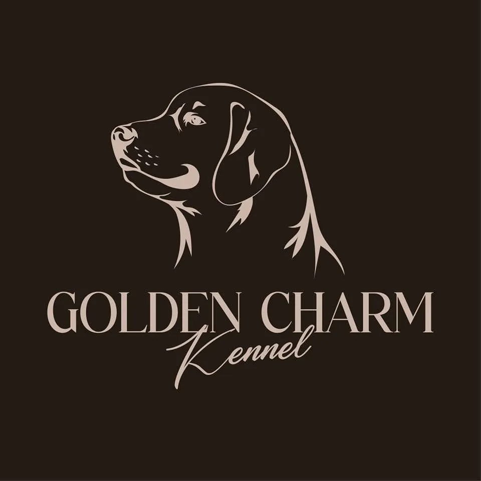 รูปGolden Charm Kennel 1 จาก 3