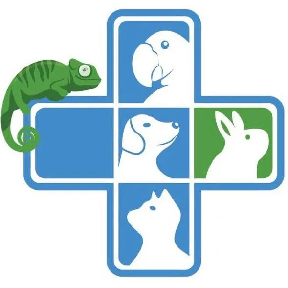 โรงพยาบาลสัตว์ออลเบสท์ (All Best Pet Hospital)