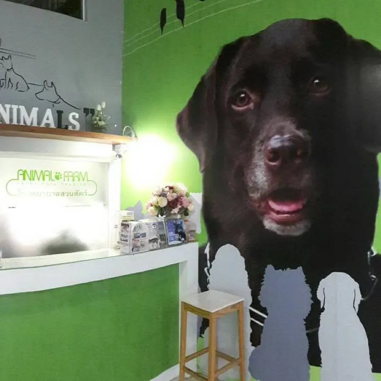 รูปโรงพยาบาลสวนสัตว์ (Animal Farm Veterinary Hospital) 3