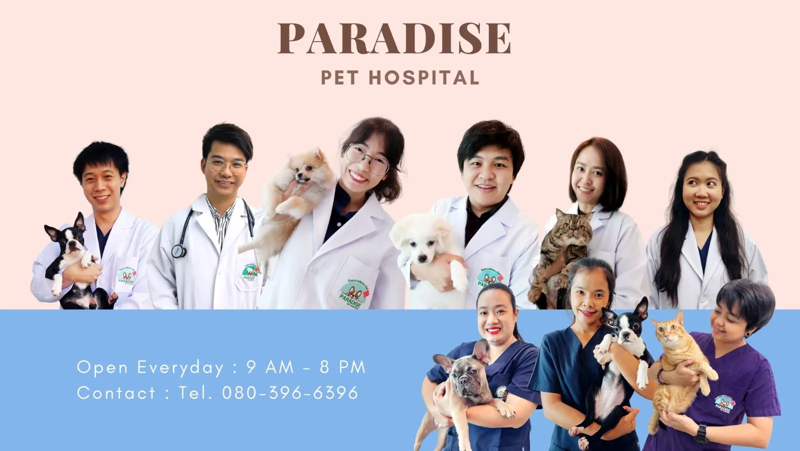รูปโรงพยาบาลสัตว์พาราไดซ์ (Paradise Pet Hospital) 2