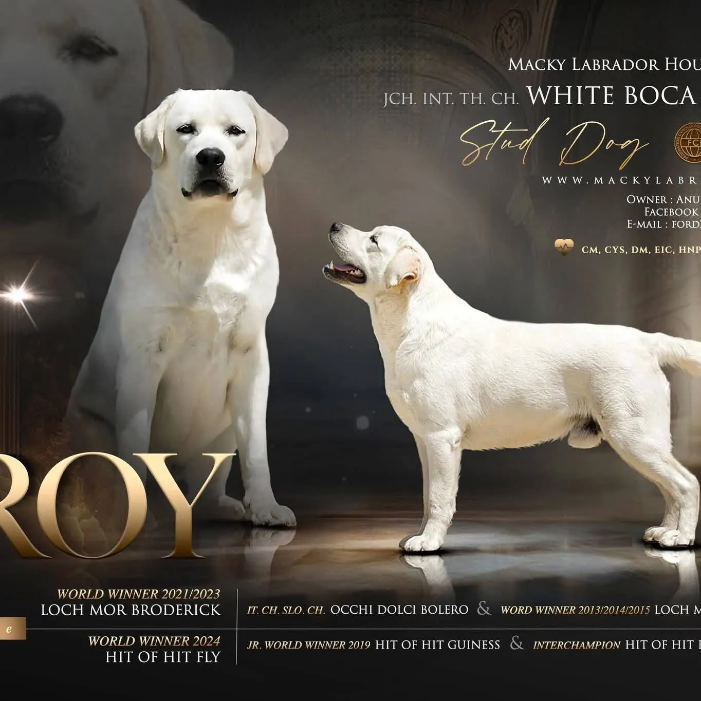 รูปMacky Labrador House 2 จาก 3