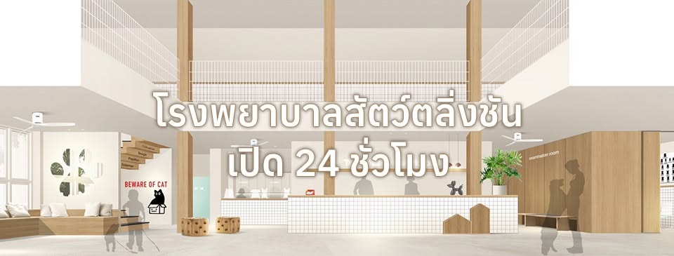 รูปโรงพยาบาลสัตว์ตลิ่งชัน 2 จาก 3