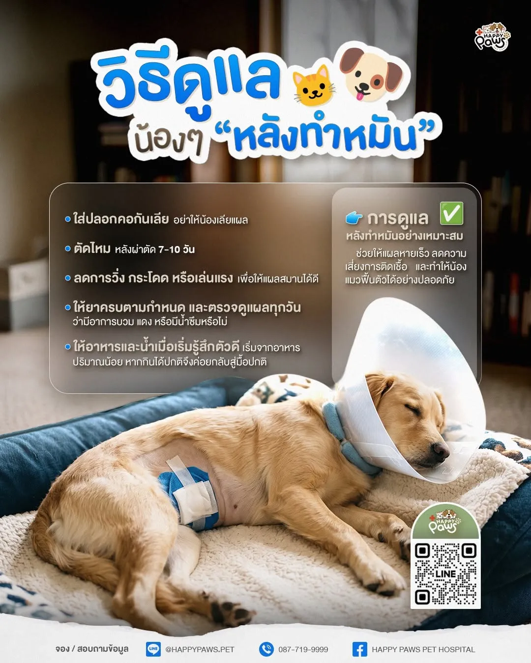 รูปโรงพยาบาลสัตว์แฮปปี้พอว์ส (Happy Paws Pet Hospital) 3
