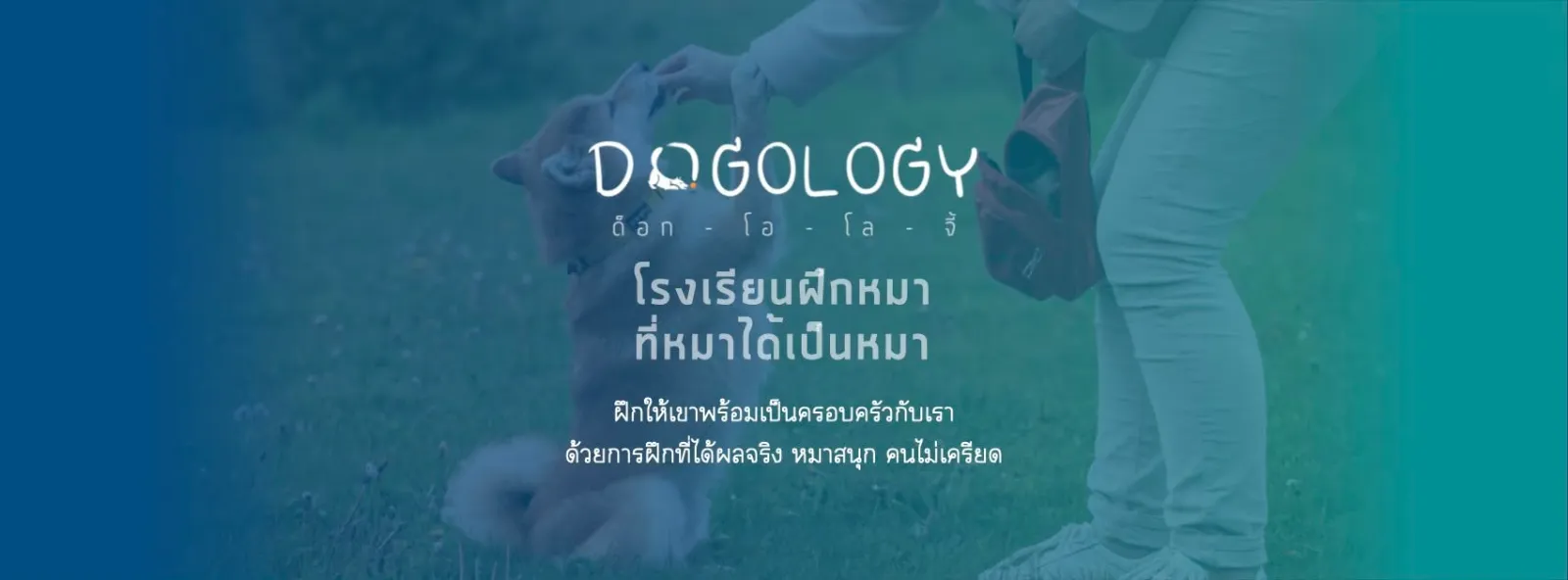 รูปDogology โรงเรียนฝึกสุนัขเชิงบวก 2