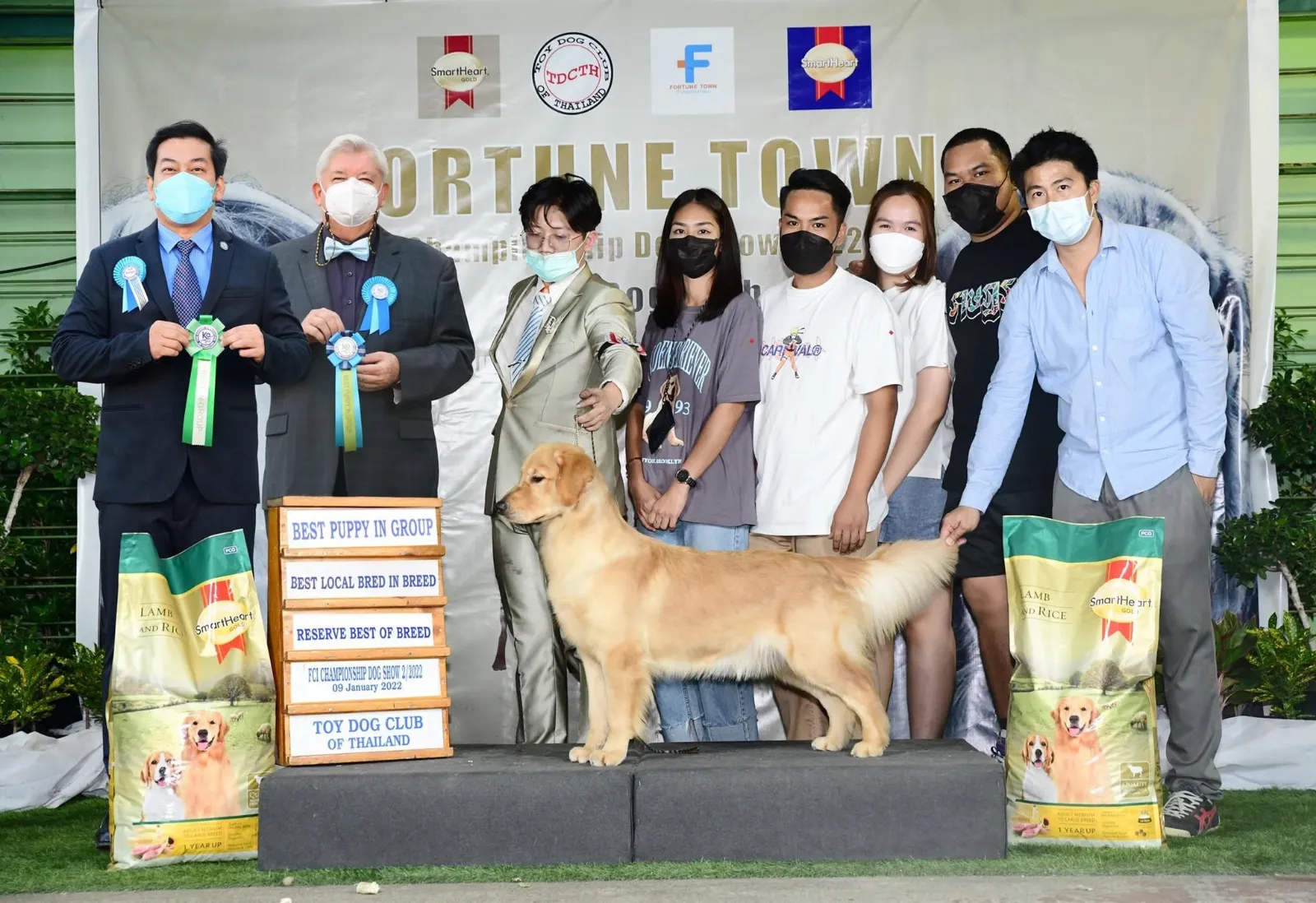 รูปSS Golden Kennel 3 จาก 3
