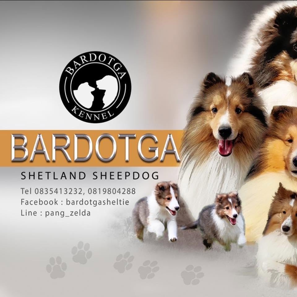Bardotga​ Shetland​ & MAS