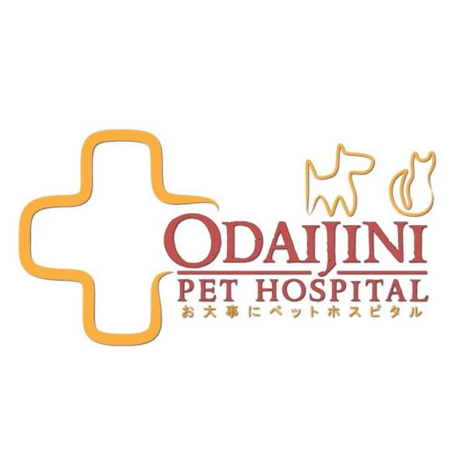 รูปโรงพยาบาลสัตว์โอะไดจินิ สาขากรุงเทพกรีฑา (Odaijini Pet Hospital) 1