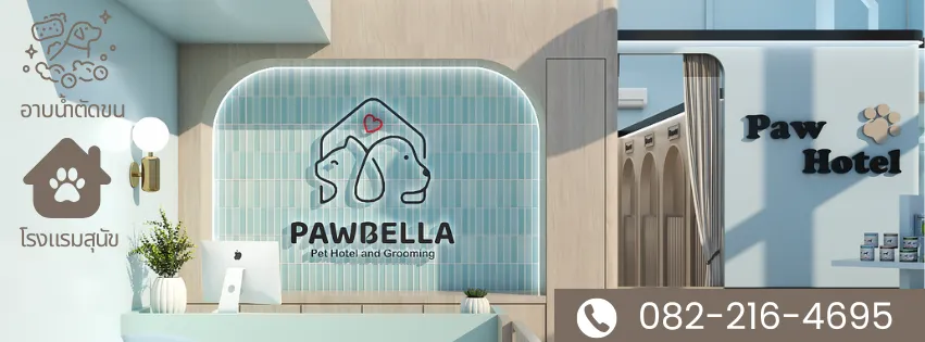 รูปPawbella อาบน้ำตัดขน-โรงแรมสุนัข 2 จาก 3
