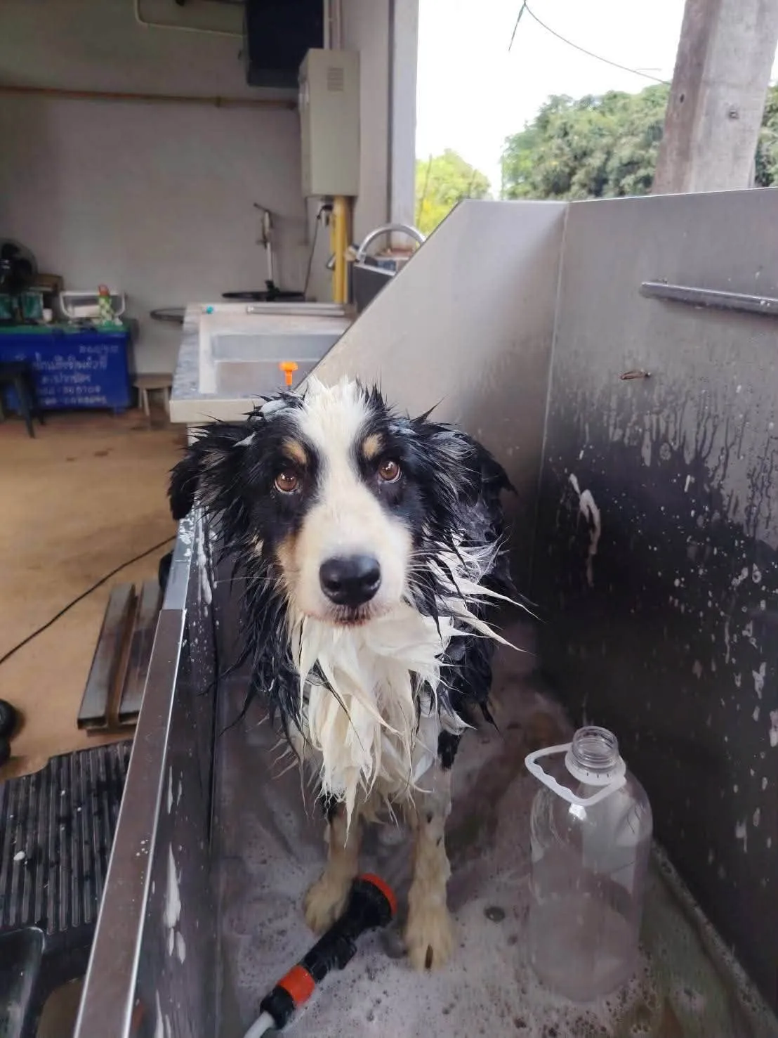 รูปRedswamp Kennel 3 จาก 3