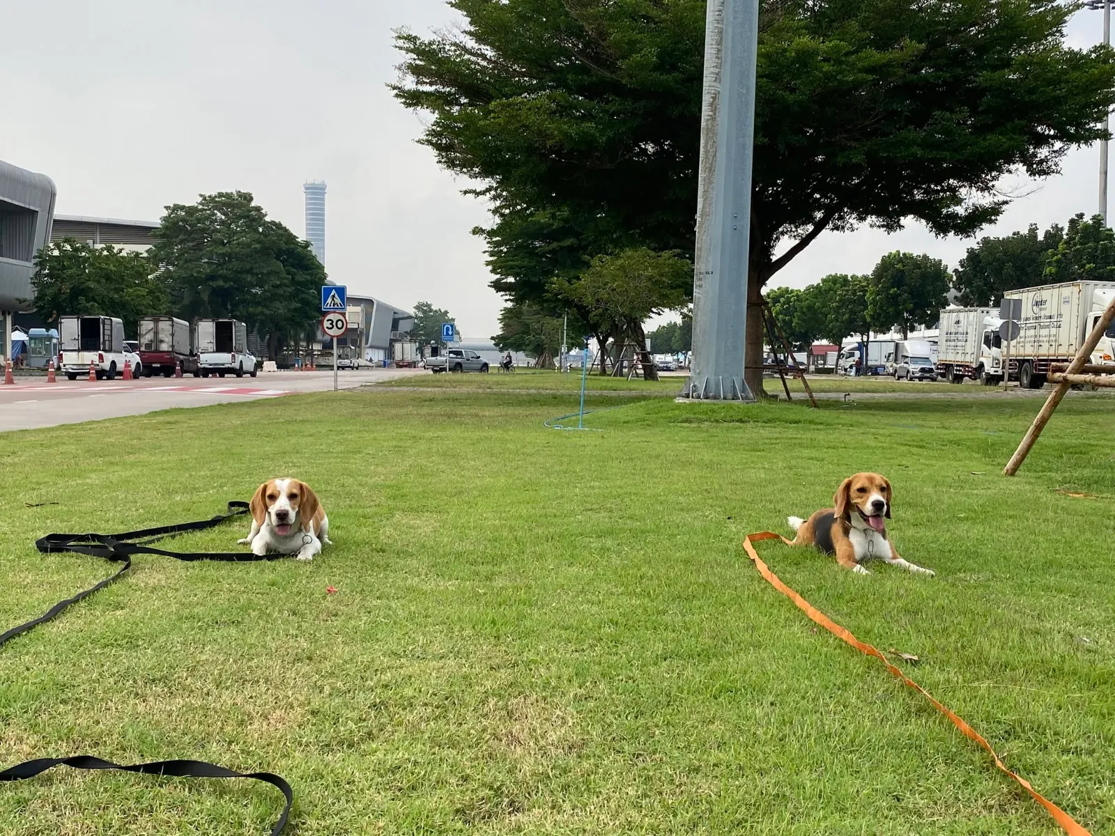 รูปUnderdog Training 3