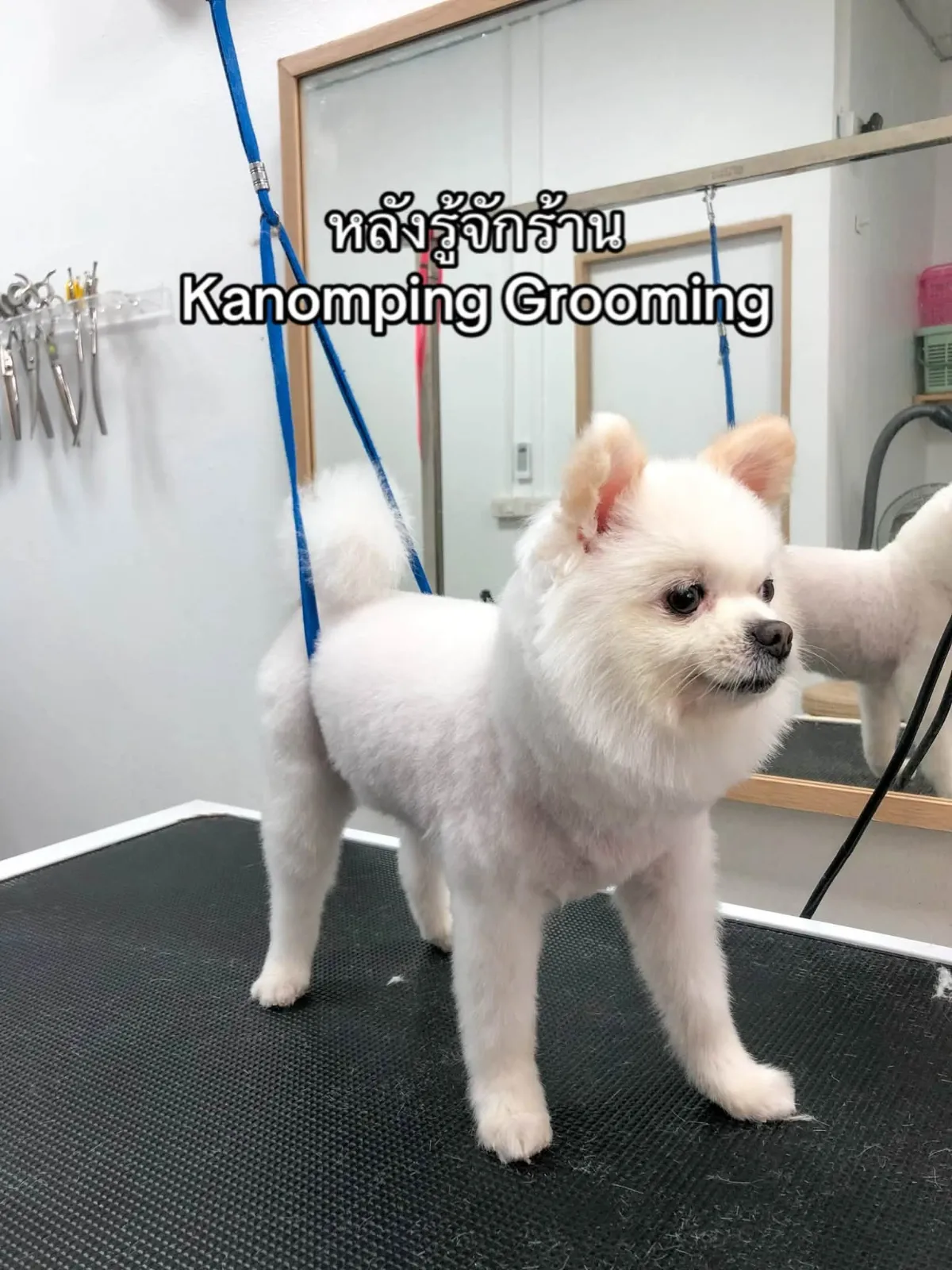 รูปขนมปิ้ง กรูมมิ่ง ซอยมิสทีน (Kanomping Grooming) 3 จาก 3